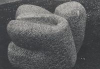 "Mémoire des mers", 1980 - Taille directe, petit granit - Annie Palisot